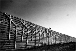 border-wall